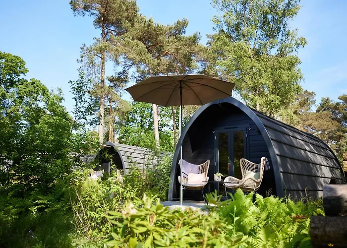 Kampinastaete, Hippe Midden In Natuurgebied De Kampina Σαλέ Oisterwijk