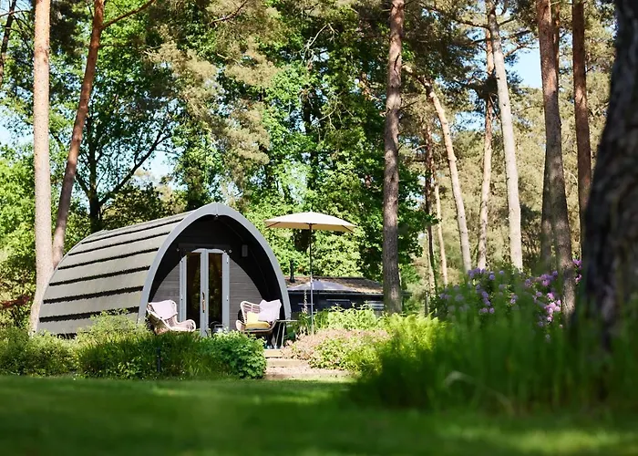 Chalet Kampinastaete, Hippe Midden In Natuurgebied De Kampina