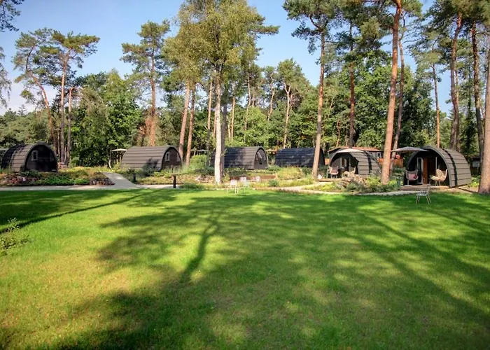 Kampinastaete, Hippe Midden In Natuurgebied De Kampina Alpesi faház